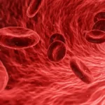 How To Increase Platelets