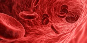 How To Increase Platelets