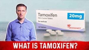 Understanding Tamoxifen: A Closer Look at Its Role in Hormone Receptor-Positive Breast Cancer Treatment