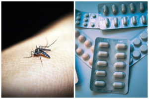 Dengue Treatment :- Recommended Medications for the Disease and Which to Avoid