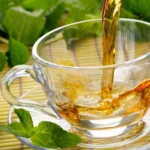 Moringa Tea: What It Is Used For And What Are Its Health Benefits