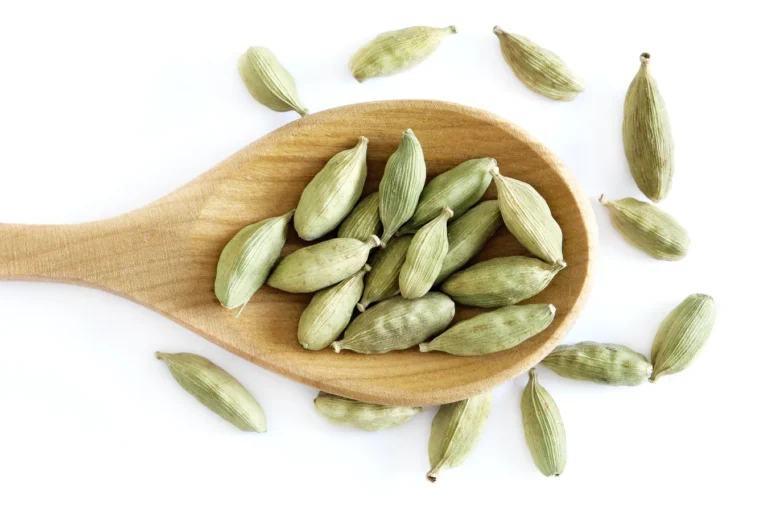 Cardamom And Its Various Health Benefits