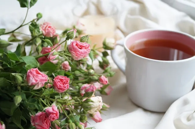 Rosehip Tea: What It’s Used For, What Its Benefits Are, And Why It’s Considered A Medicinal Plant